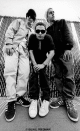 Portrait de Beastie Boys