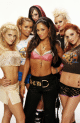 The Pussycat Dolls