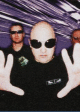 Portrait de Front 242