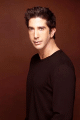 David Schwimmer