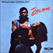 Zalmac&nbsp;-&nbsp;Whatcha gonna do