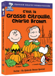 Snoopy - Grosse citrouille - Édition remasterisée (DVD)