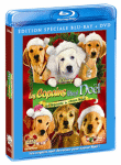 Les Copains fêtent Noël - Edition Spéciale - Blu-Ray&nbsp;-&nbsp;Film