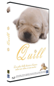 Quill&nbsp;-&nbsp;Yoichi Sai