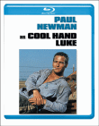 Luke La Main Froide - Blu-Ray&nbsp;-&nbsp;Stuart Rosenberg