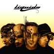 Liquido&nbsp;-&nbsp;Zoomcraft
