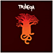 Tribeqa&nbsp;-&nbsp;Tribeqa