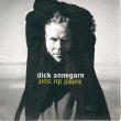 Dick Annegarn&nbsp;-&nbsp;Soleil du soir
