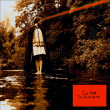 Scout Niblett&nbsp;-&nbsp;This fool can die now