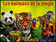 Les animaux de la jungle&nbsp;-&nbsp;Collectif