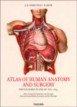 Atlas of anatomy