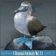 Unusual animals Vol. 3