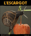 L'escargot&nbsp;-&nbsp;Paul Starosta