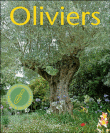 Oliviers&nbsp;-&nbsp;Elise Fontenaille