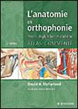 L'anatomie en orthophonie