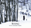 Sting : If on a winter's night