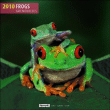 Frogs&nbsp;-&nbsp;Collectif