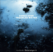 Dominique A&nbsp;-&nbsp;Songs over troubled water - Carte blanche à Dominique A