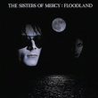 The Sisters Of Mercy