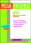 Mega Fiches gestion comptable, gestion commerciale, communication, organisation