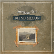 Blind Melon&nbsp;-&nbsp;The best of