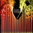 Vitalic&nbsp;-&nbsp;Flashmob