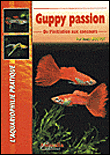 Le guppy de l'achat aux concours