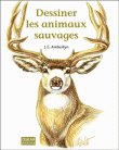 Dessiner les animaux sauvages
