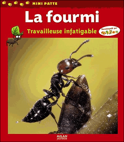 La fourmi&nbsp;-&nbsp;Luc Gomel