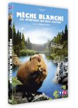 Mèche Blanche&nbsp;-&nbsp;Philippe Calderone