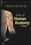 Atlas of human anatomy