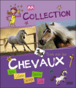 Tout sur les chevaux