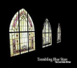 Trembling Blue Stars&nbsp;-&nbsp;The last holy writer