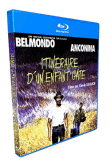 Itinéraire d'un enfant gâté (Blu-Ray)