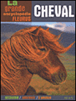 Le cheval&nbsp;-&nbsp;Collectif