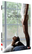 Canine