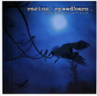 Raging Speedhorn&nbsp;-&nbsp;Before the sea was built
