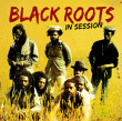 Black Roots&nbsp;-&nbsp;In session
