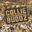 Collie Buddz&nbsp;-&nbsp;Collie Buddz