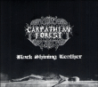 Carpathian Forest&nbsp;-&nbsp;Black shining leathe