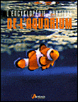 Aquarium
