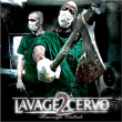 Lavage 2 Cervo