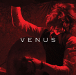 Venus&nbsp;-&nbsp;Best of and live