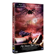 A Chinese Tall Story (DVD)