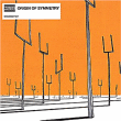 Muse&nbsp;-&nbsp;Origin of symmetry