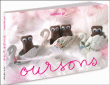 Oursons&nbsp;-&nbsp;Gil