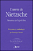 L'oeuvre de Nietzsche&nbsp;-&nbsp;Dominique Bourdin