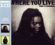 Tracy Chapman&nbsp;-&nbsp;Where you live - Let it rain