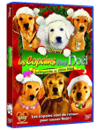 Les Copains fêtent Noël&nbsp;-&nbsp;Film