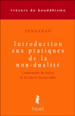 Introduction aux pratiques de la non-dualité